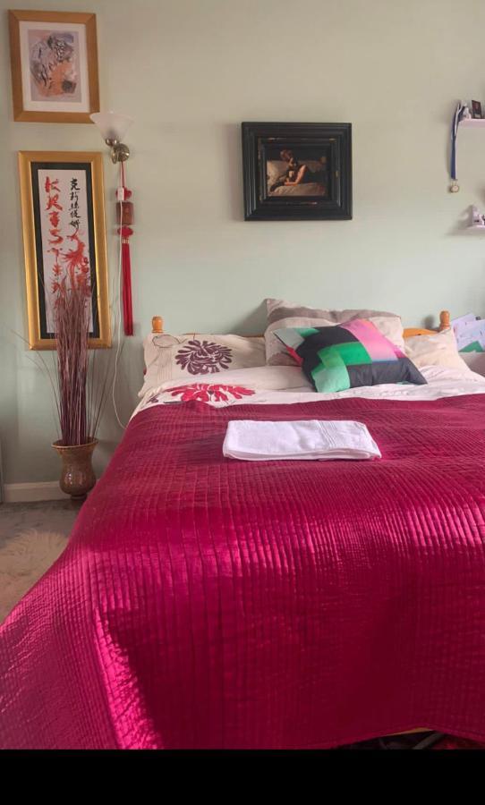 Cosy In Wembley Проживание в семье
