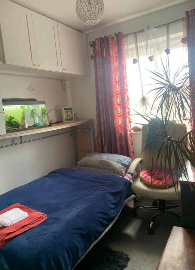 Cosy In Wembley Проживание в семье *